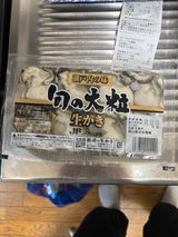 岡山漁業 岡山産大粒生かき 8粒