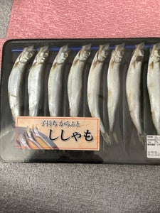 岡田 ノルウェー産ししゃも6L 8尾