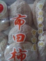 天竜 市田柿 150g