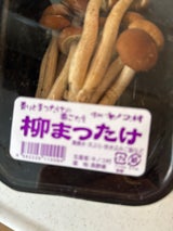 キノコ村 柳まつたけ 1P