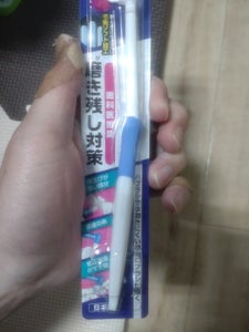エビス ポイントブラシ ふつう 1本