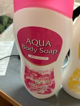 長良化学 アクアボディソープ 1P