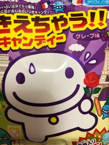 ライオン菓子 きえちゃうキャンディ 89g