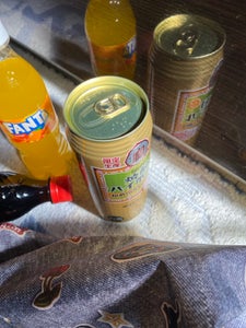 焼酎ハイボール 和歌山産はっさく割り 500ml