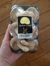 下川町 生椎茸菌床 LL 2玉