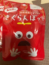 イー・ロジット ムックのさくらんぼグミ 40g