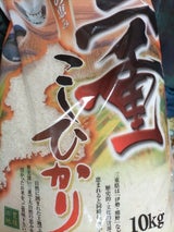 シマヤ 三重こしひかり 10kg