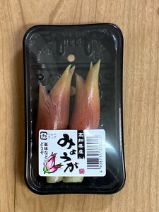 JA高知 みょうが
