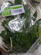 デスタン 花竹 1束