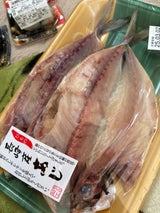 ちくら フランスあじ開 3枚