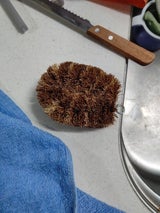 オカトー 天然物語 トラタワシ