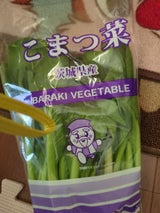 シモジマ 茨城県産こまつな S