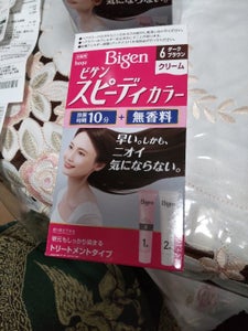ビゲン SPカラー クリーム6 80g
