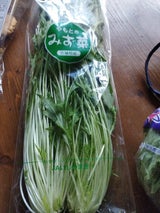 JAいしのまき みずな 150g