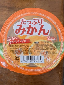三洋通商 たっぷりゼリー みかん 250g