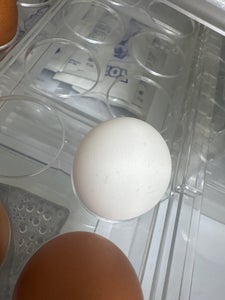 全農たまご 温泉たまご(だし付) 3コ