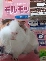 モルモットフード ハードタイプ 600g