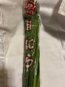 JA宮崎 にら
