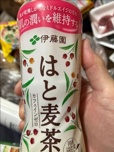 伊藤園 はと麦茶 500ml