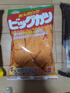 スグル食品 ビックカツひとくちタイプ 127g