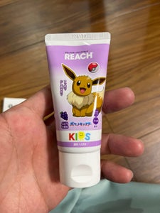 リーチキッズ歯みがき ぶどう 60g