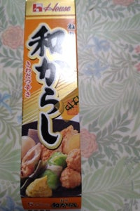 ハウス ねり和からし 43g