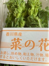 ピアンドシ 菜の花