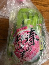 谷口 春の野沢菜 200g