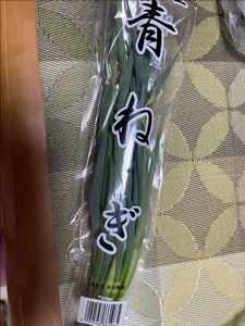 宮本 青ねぎ
