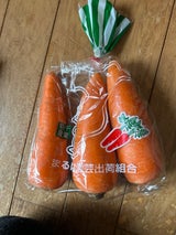 エヌ・アイ・シー 人参