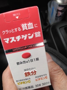 マスチゲン錠 30錠