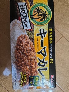 ハウス ジヤワカレー キーマカレー 中辛 176g