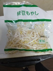 緑豆もやし