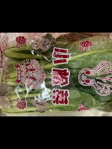 JA全農いばらき 小松菜 300g