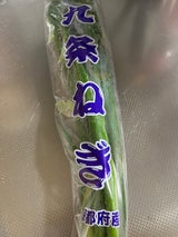 JAやましろ ねぎ 100g