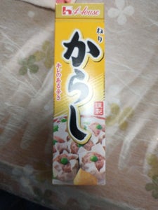 ハウス ねりからし 43g
