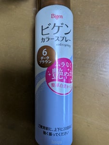 ビゲン カラースプレー 6 82g