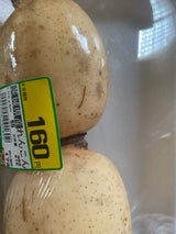 県農えひめ 白ネギ 300g