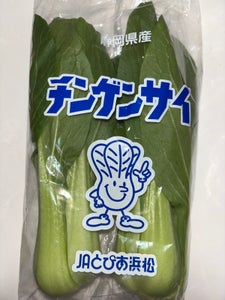 JA静岡 チンゲンサイ
