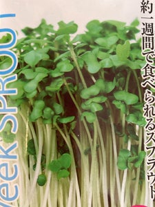 アタリヤ農園 スプラウト ブロッコリー