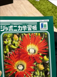学習帳 国語12マスリ-ダ-入     JL-9