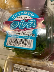 村上 スプラウト クレス 20g