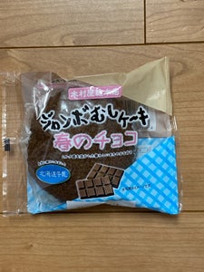 木村屋 ジャンボむしケーキ 春のチョコ