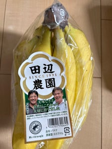 ANAフーズ 田辺農園バナナ