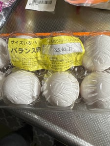 八千代 赤たまご 10個