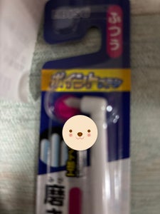 エビス ポイントブラシ ふつう 1本