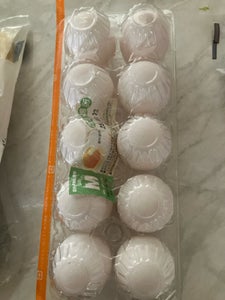 オレンジエッグ 卵 M 10玉