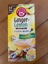 ポンパドール ジンジャー&レモン 17.5g