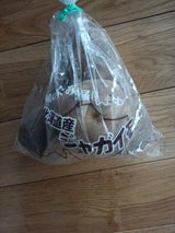 NIC じゃがいも北海道産 1P