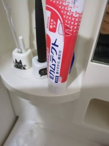 カムテクト 歯ぐきケア お試し品 105g